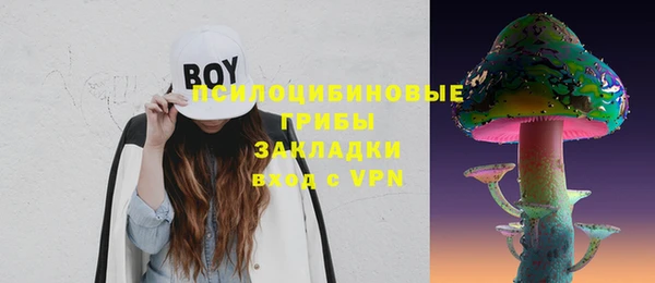 Альфа ПВП Новозыбков