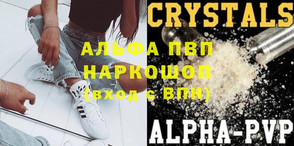 Альфа ПВП Новозыбков