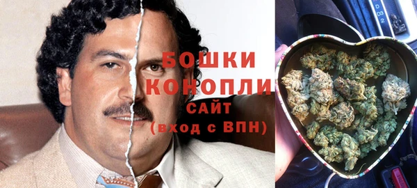 spice Болотное