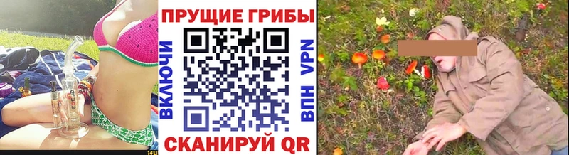 ОМГ ОМГ ссылка  Оса  Псилоцибиновые грибы Psilocybine cubensis 